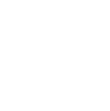logo icon
